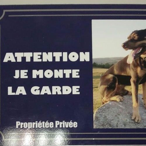 Plaque attention au chien  200 x 150